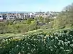 West Princes Street Gardens from the Edinburgh Castle slopes in 2011