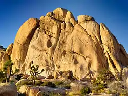 Image 10 Joshua Tree National Park, United States (from Portal:Climbing/Popular climbing areas)