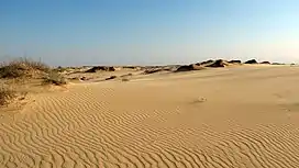 Oleshky Sands, the second-largest desert in Europe