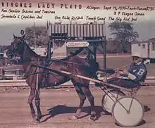 Ken Barlow and Virgnes Lady Plaid 1970