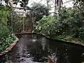 Berkenhof Tropical Zoo&nbsp;[nl]