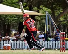 Molineux batting for Melbourne Renegades during WBBL07