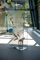 Installation, Museum of Glass and Jewellery in Jablonec nad Nisou, 2022