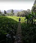 A separate structure inside the fortified walls.