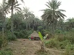 Cottage in the Western Area Rural District, near the Port Loko River