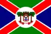 Flag of Humaitá