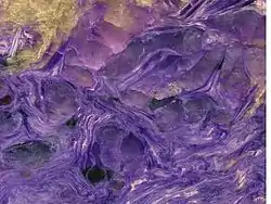 Charoitite, a charoite-dominated potassic metasomatite rock from the type area. Photo is 5.7&nbsp;cm wide.