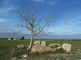 The Dolmen du Griffier in Antoigné