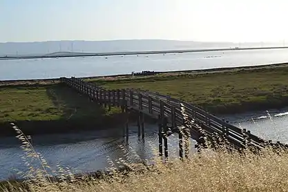 Salt evaporation ponds, with the Dumbarton Bridge in the background