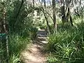 The Great North Walk at 34 kilometres (21&nbsp;mi) from Macquarie Place, Sydney. The trail here follows the creek along the Berowra Valley.