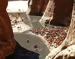 A guelta on the Ennedi Plateau, 500 km (300 mi) southeast of the Tibesti