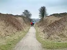 A cutting on the High Peak Trail