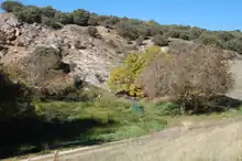 Source of the Henares River in the village of Horna