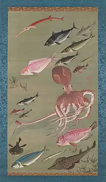 Fish and octopus