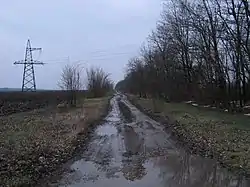 Rural road in Krylovsky District