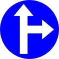 24g)&nbsp;— Proceed straight or turn right