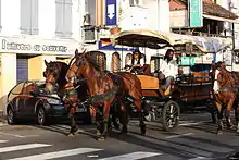 Image 7A carriage on a street in Martinique, one of the Caribbean islands that has not become independent. It is an overseas region of France, and its citizens are full French citizens. (from History of the Caribbean)