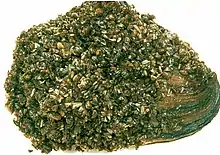 Native Great Lakes mussel coated with zebra mussels