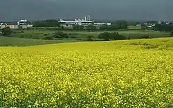 The Coleraine Campus in 2007