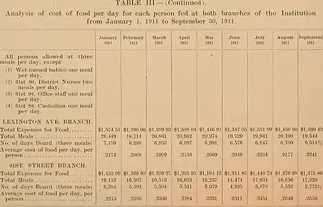 New York Nursery and Child's Hospital Annual Report (1910)