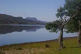 A tree on the foreshore of a large lake with hills beyond