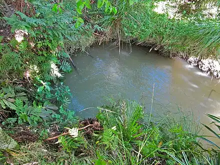Pakihi Stream re-emerges from its 1&nbsp;km underground with just a few ripples