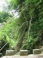 Sector Santo Domingo