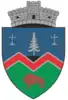 Coat of arms of Vama Buzăului