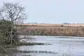 Refuge Lake in Attwater Prairie Chicken National Wildlife Refuge