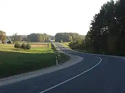 Road in Rokiškis Area Eldership