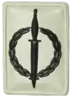 SA Special Forces Operator's Badge