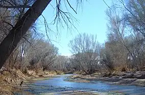 San Pedro River