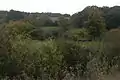 View south over water meadows towards Barn Copse and the edge of Dirty Ground Copse, with Gorse Covert beyond.