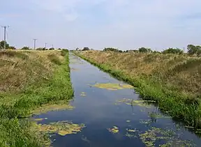 The South Forty-Foot Drain at Pointon, between Boston and Guthram Gowt. Here its origin as a drainage channel, set below the level of the surrounding fields, is very evident.
