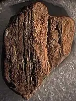 Same stamped bulla (~12&nbsp;mm long) showing ridges on cord side indicating papyrus document