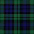 Image of Government 1A tartan