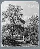 The Grandmother Tree, near Middletown, Long Island,1858, Metropolitan Museum of Art