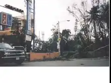 Toppled trees in Santo Domingo after Hurricane Georges moved through the Dominican Republic