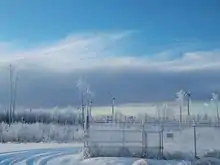 Five wind turbines in snowy forest